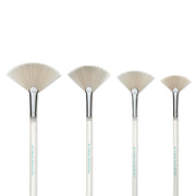 Fan Brushes