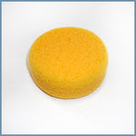 Sponge - 2-1/2 in Flat Round Sponge