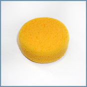 Sponge - 2-1/2 in Flat Round Sponge