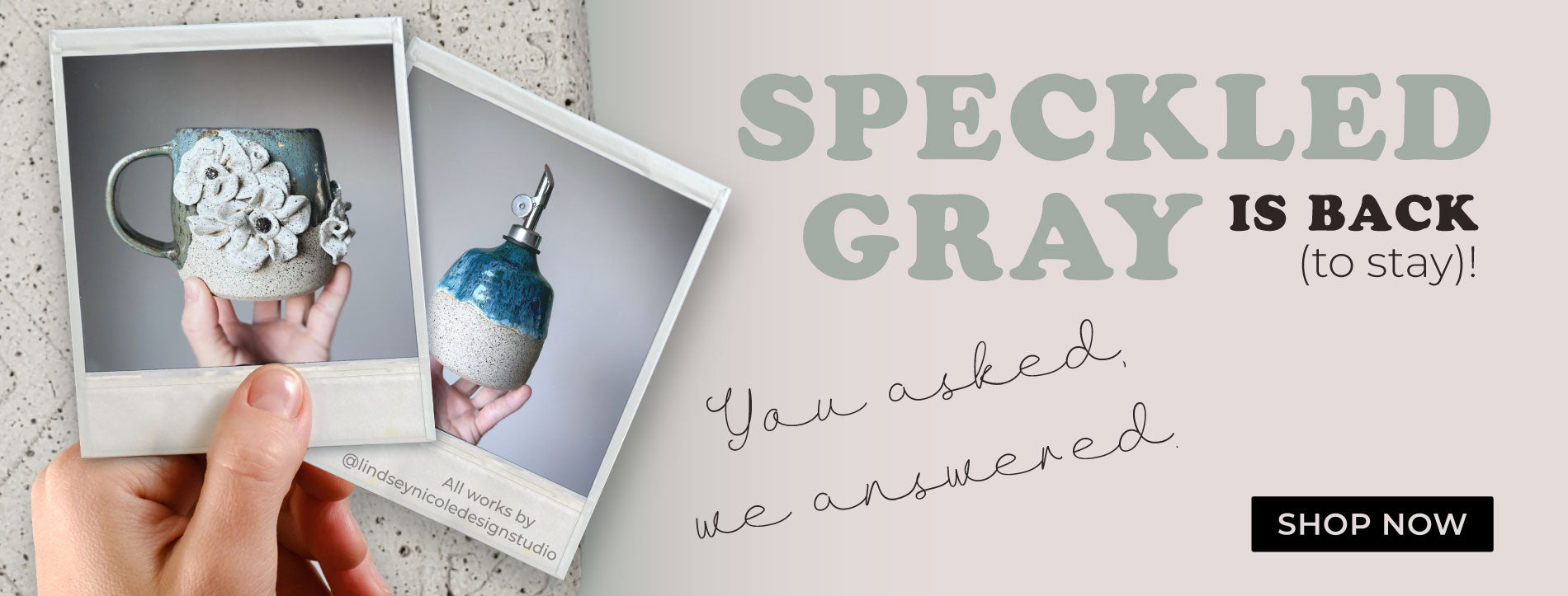 Sps speckled gray social 2024 1900x723px