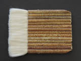 Multi Head Brushes