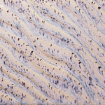 Gz Liq PCF-16 Pt Aurora Breeze