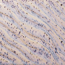 Gz Liq PCF-16 Pt Aurora Breeze