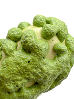 Discontinued - Ritual Glaze - Suckerpunch Glaze