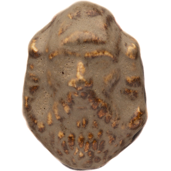 SP126 - Shaner's Red