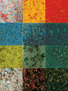 CGKIT - Jungle Gem Kit