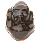 SP114 - Tenmoku Brown