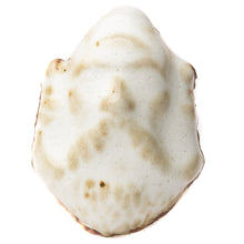 SP118 - Shaner's Gold High-Fired Glaze