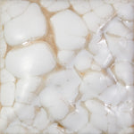 SW403 - White Mudcrack